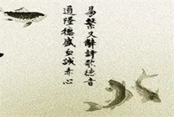 梦见几具死尸是什么意思
